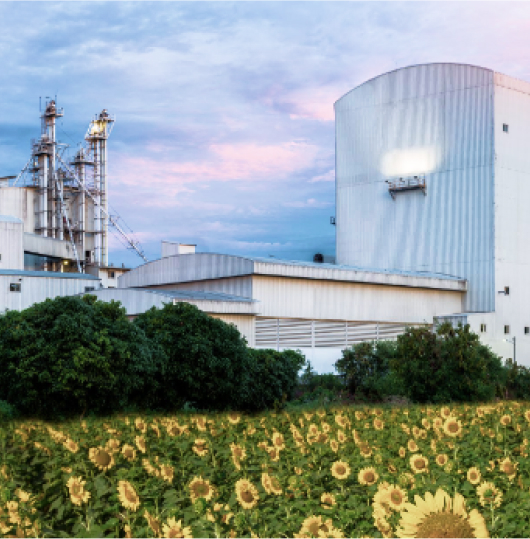 Student raising hand in classroom